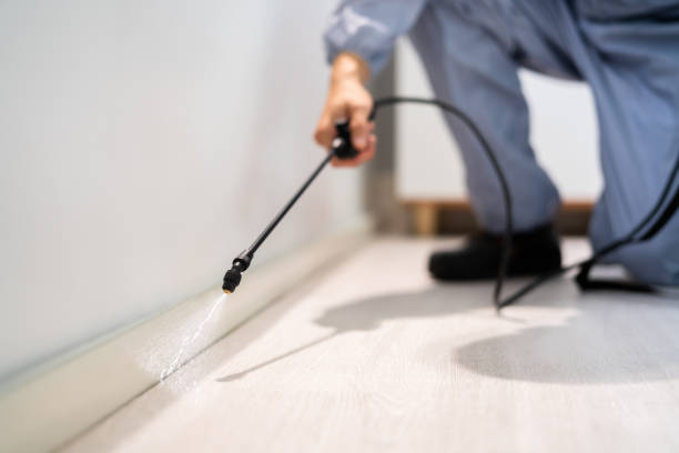 Licensed Mosquito Control service in Sebastian, TX - Show Me Pest Control