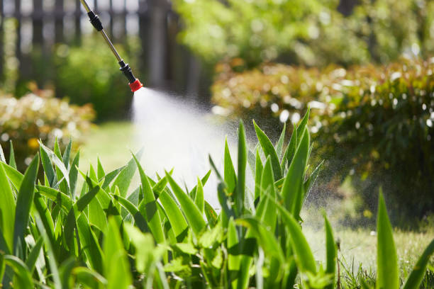 24/7 Emergency Mosquito Control experts in Sebastian, TX