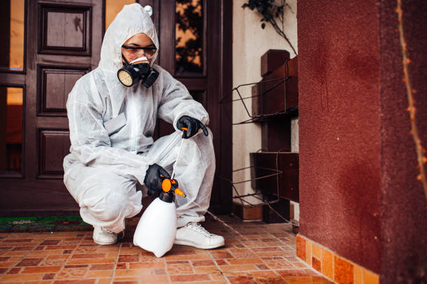 Reliable Mosquito Control contractor in Sebastian, TX by Show Me Pest Control